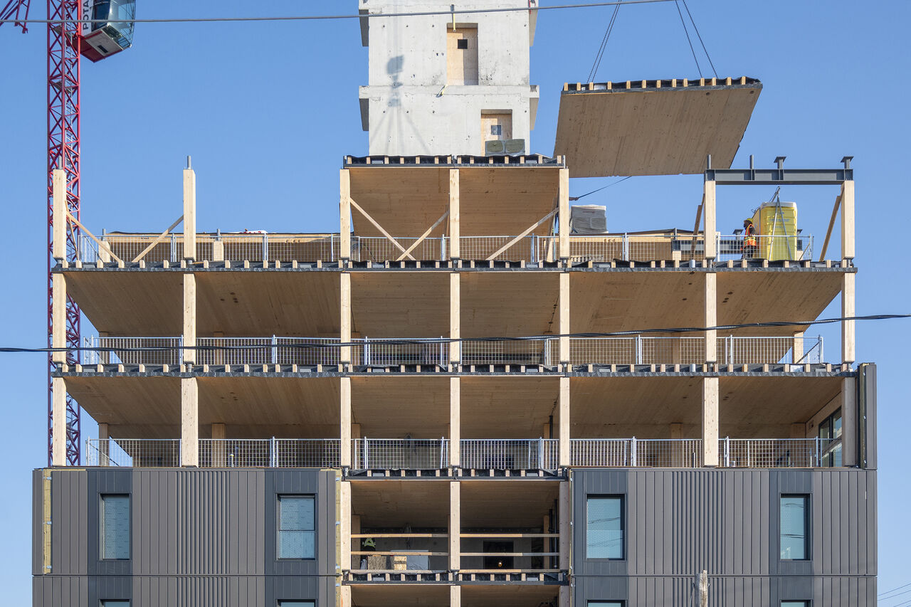Prefabricated panel lifted above the exposed CLT structure
